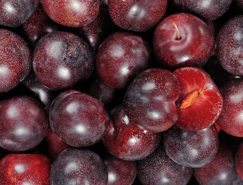 PRUNE 1LB