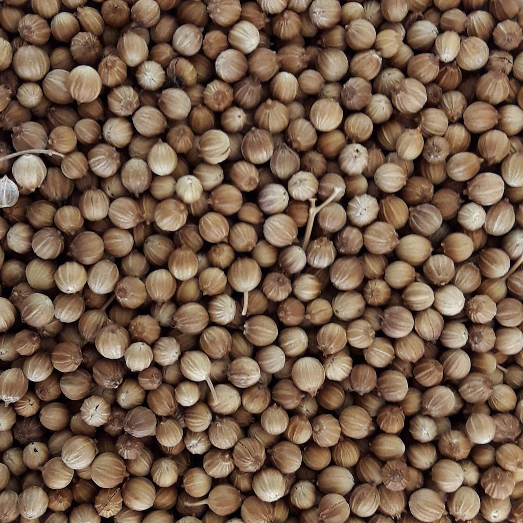 EGYPTIAN CORIANDER 100GR