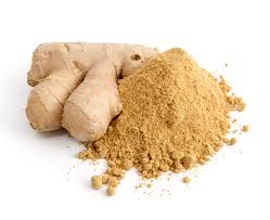 GINGEMBRE MOULU 100GR