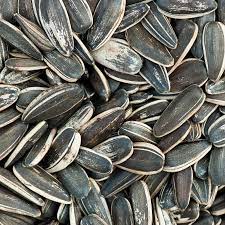 GRAINES DE TOURNESOL ROTIES NON SALÉES 300GR