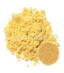 MUSTARD POWDER 100GR