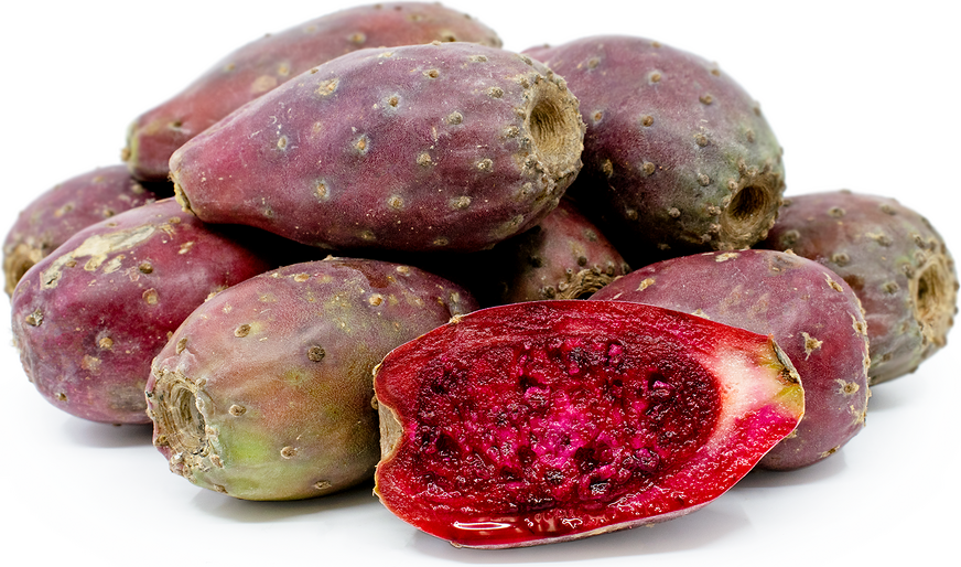 CACTUS ROUGE 1LB