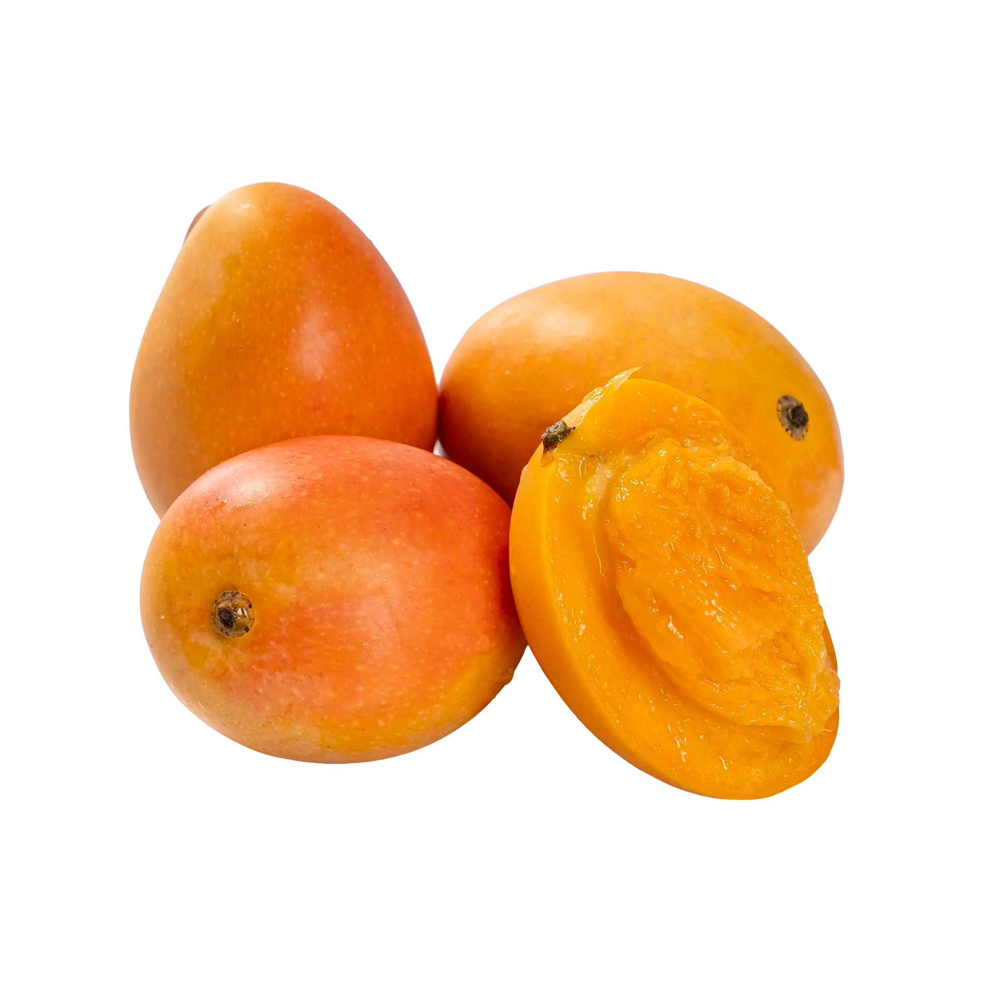 MANGUE MINI 1UN