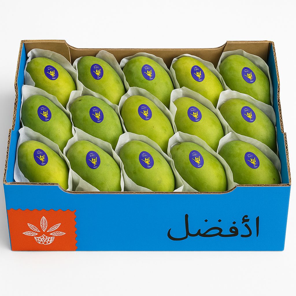 MANGUE EGYPTE EWIS/PHONSS/TAYMOUR /CAISSE