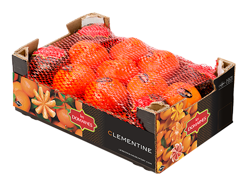 CLÉMENTINE 1KG