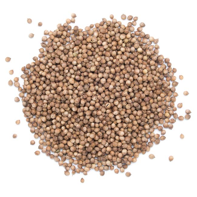 WHOLE CORIANDER 100GR