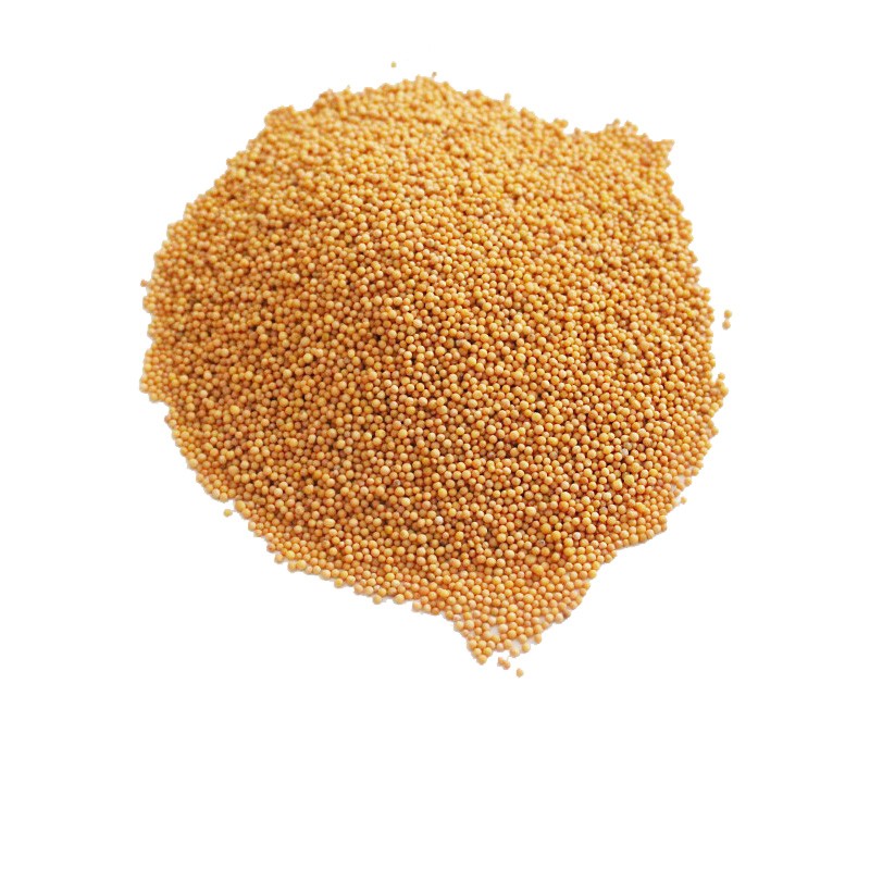 MUSTARD SEEDS 100GR