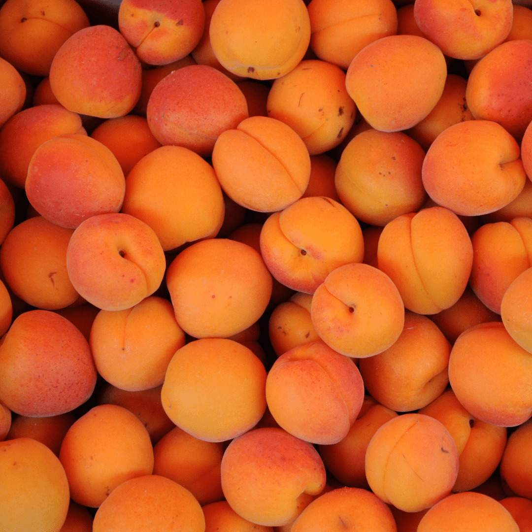 APRICOT 1LB