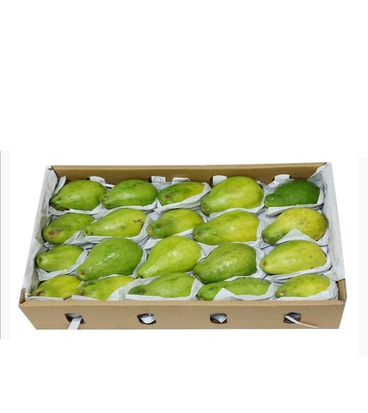 GUAVA EGYPTE 1.5KG