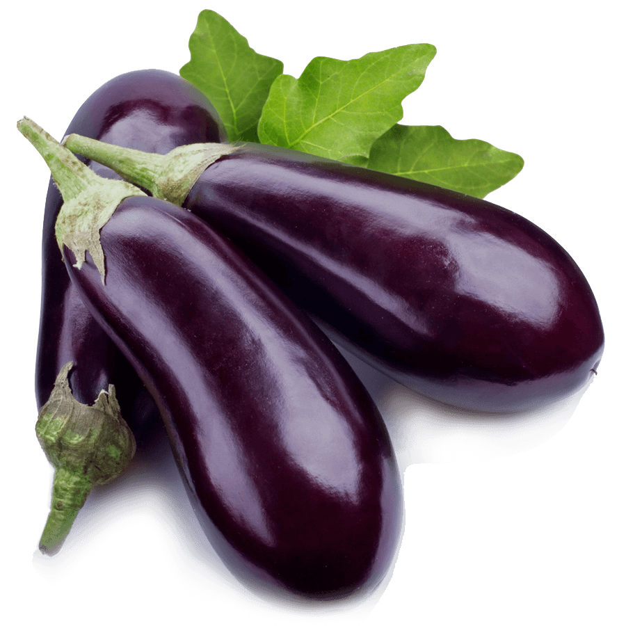 AUBERGINE 1LB