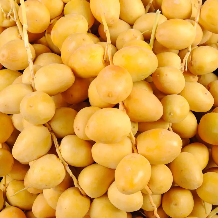 DATTES JAUNE EGYPTE(BALLAH) 1LB
