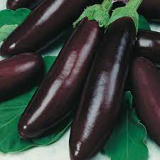 AUBERGINE NOIR EGYPTE 1KG