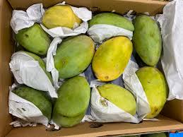 CAISSE DE MANGUE 2.5 /KG (ALFONSO)