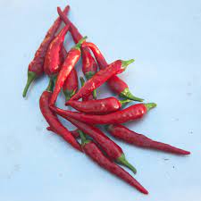 PIMENT CAYENNE 100GR