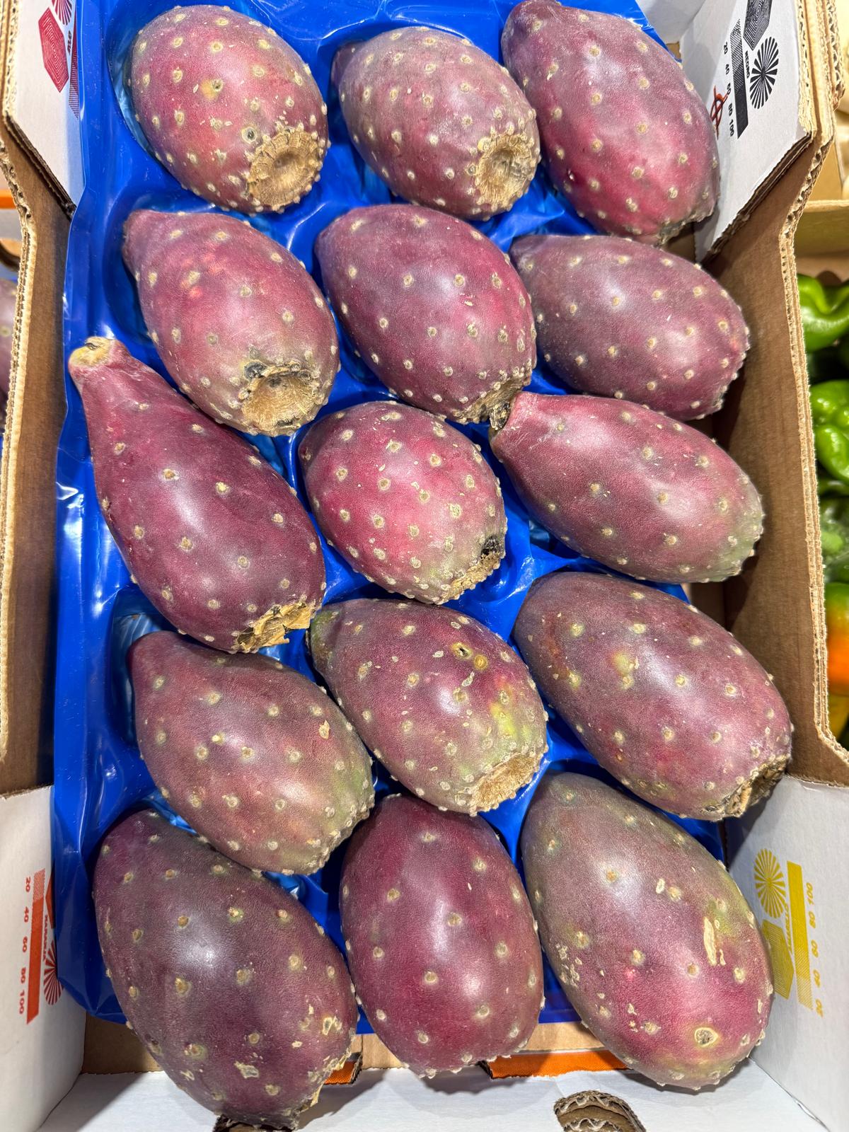 CACTUS ROUGE CAISSE