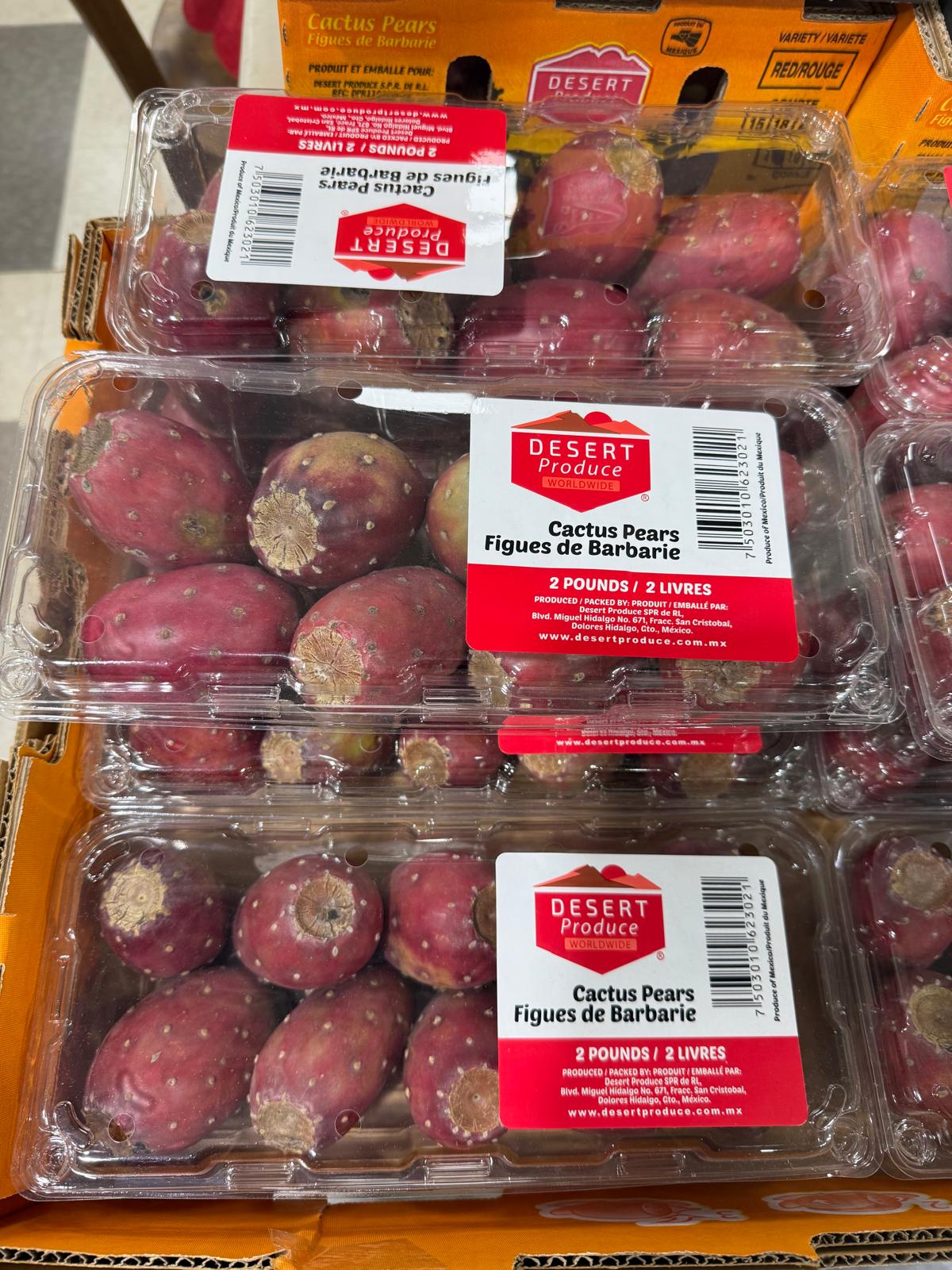 CACTUS 7LB/ BOITE