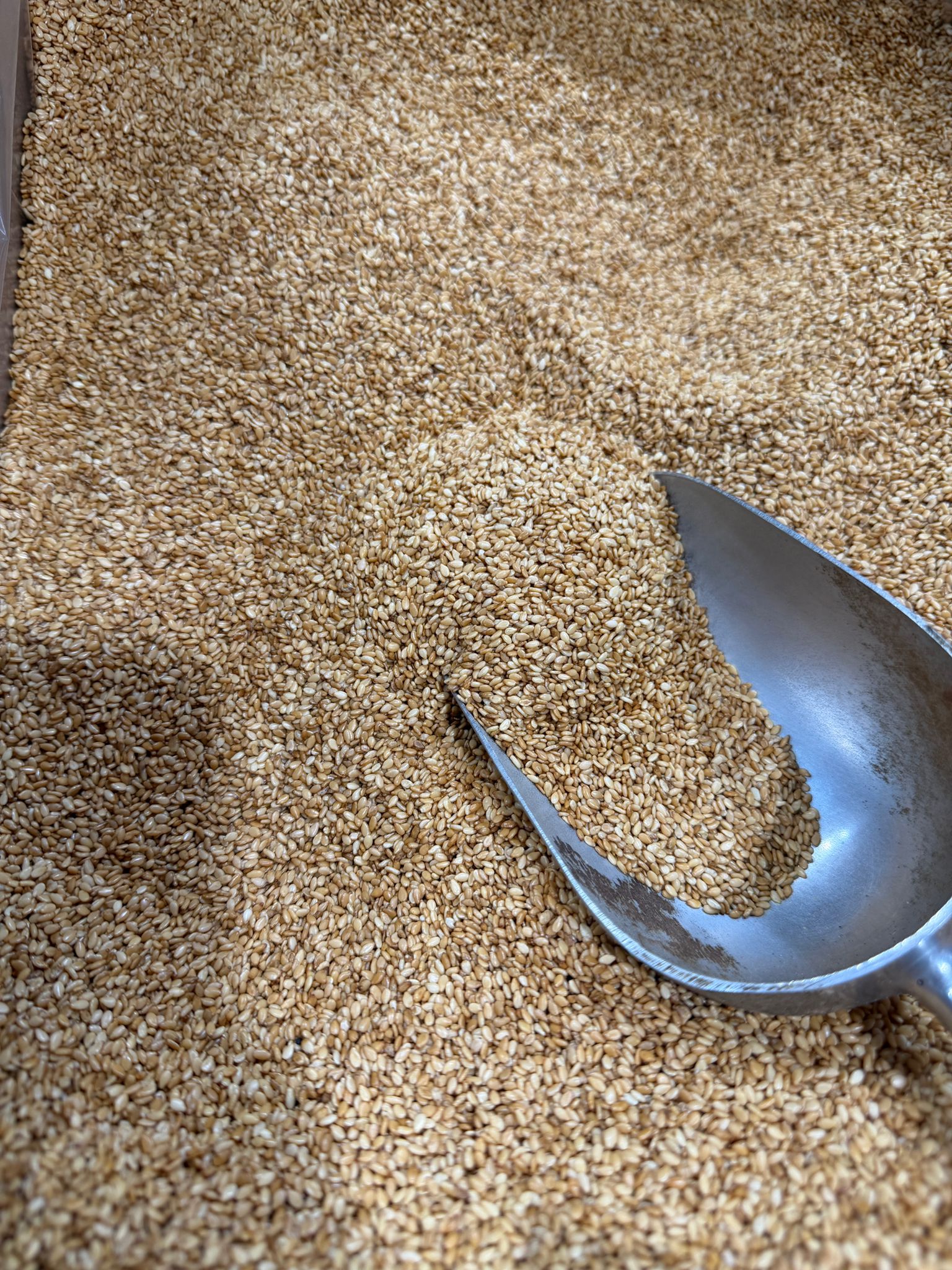 SÉSAME ROTIE BELDI MAROCAINE 100GR