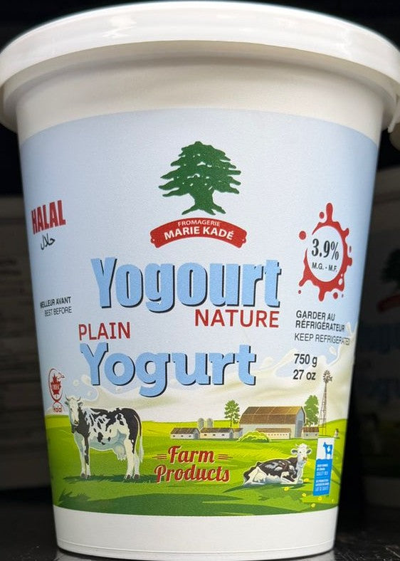 YAGOURT NATURE