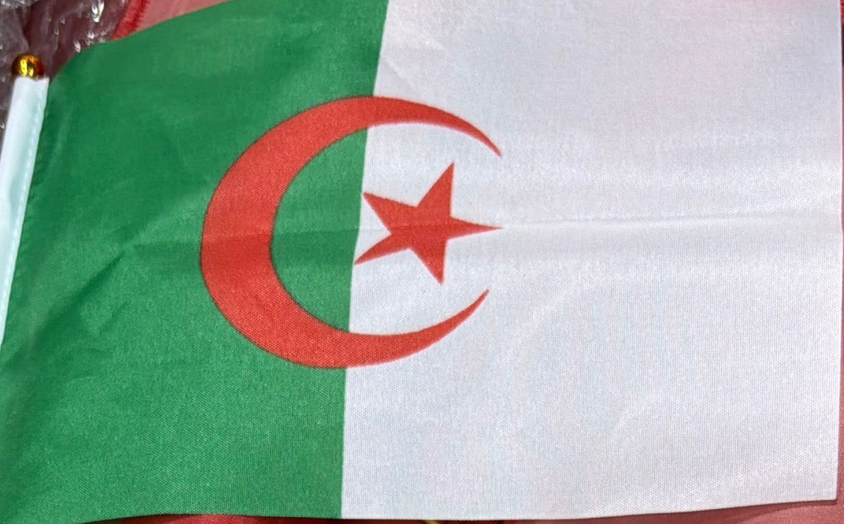 DRAPEAU DALGERIE PETIT