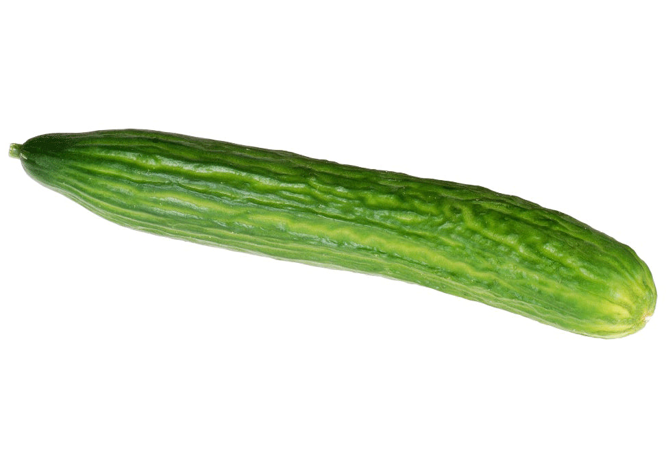 ENGLISH CUCUMBER