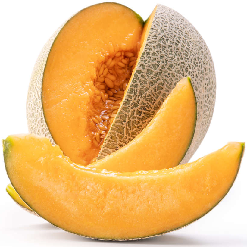 CANTALOUP