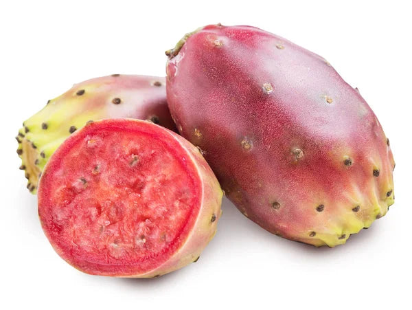 CACTUS ROUGE CHQ