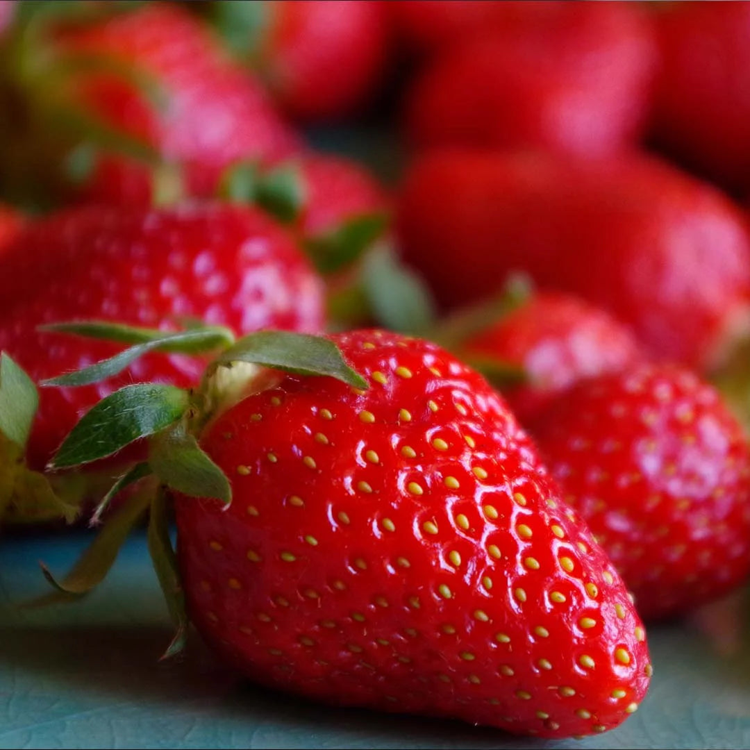 FRAISE/BOITE