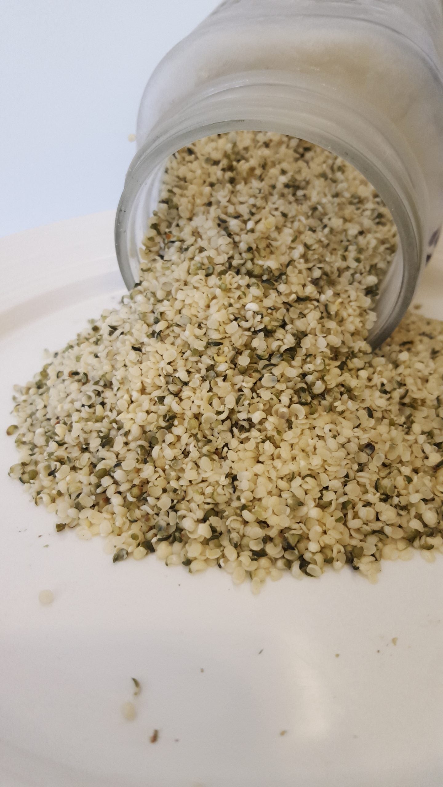 GRAINES de Chanvre ORGANIQUE 100GR