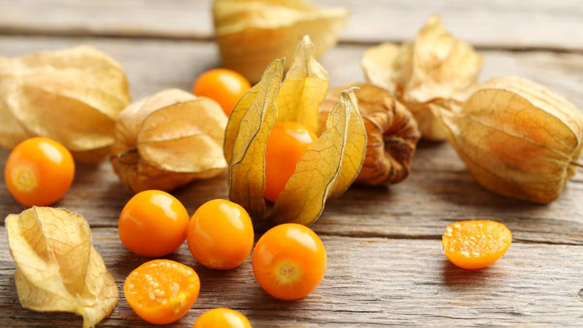 PHYSALIS FRUIT BOITE 170GR