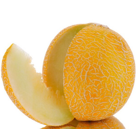 MELON MIEL CHQ