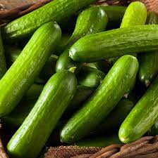 LEBANESE CUCUMBER 1LB