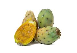CACTUS/LB