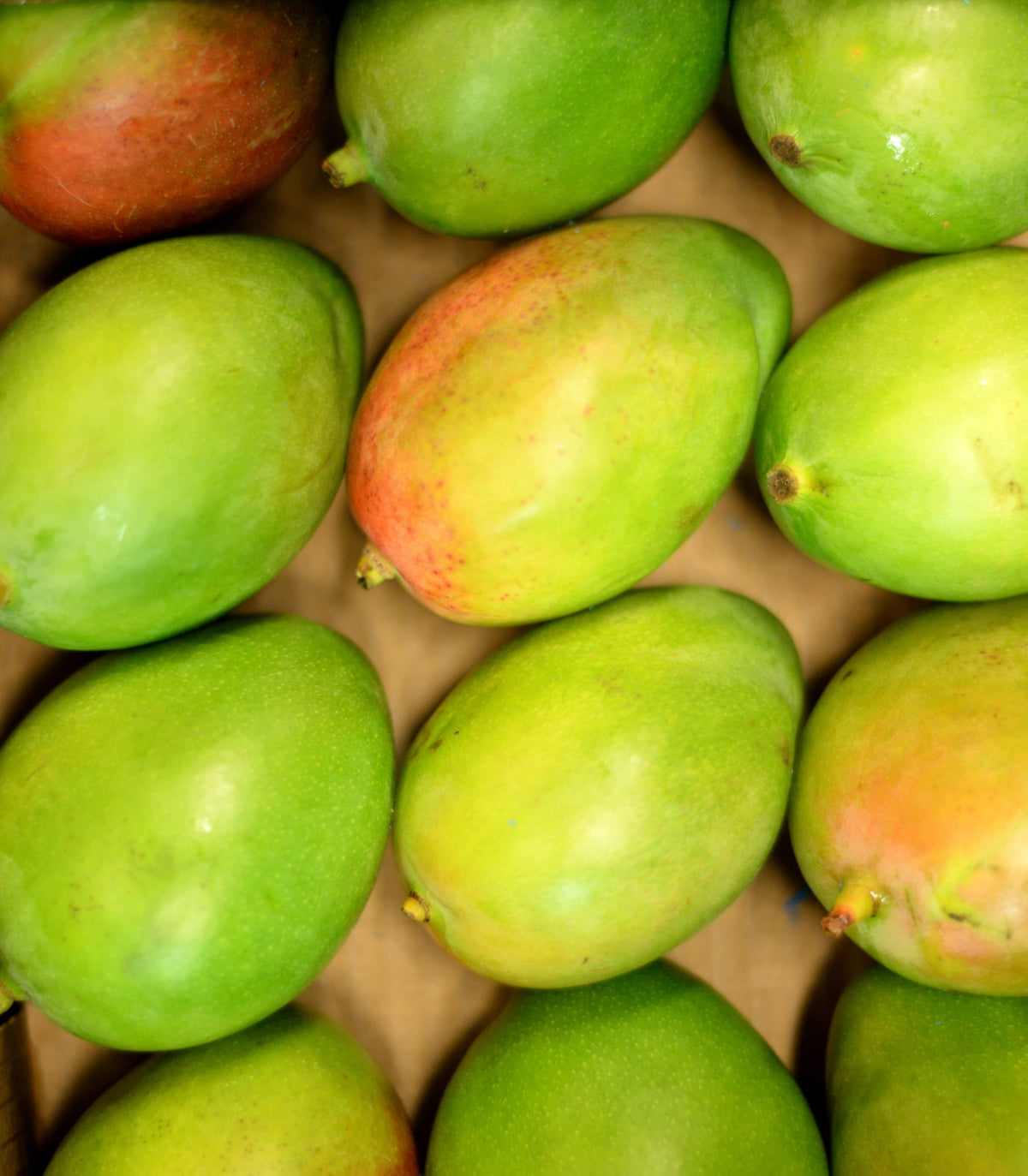 MANGUE EGYPTE BOX 2KG