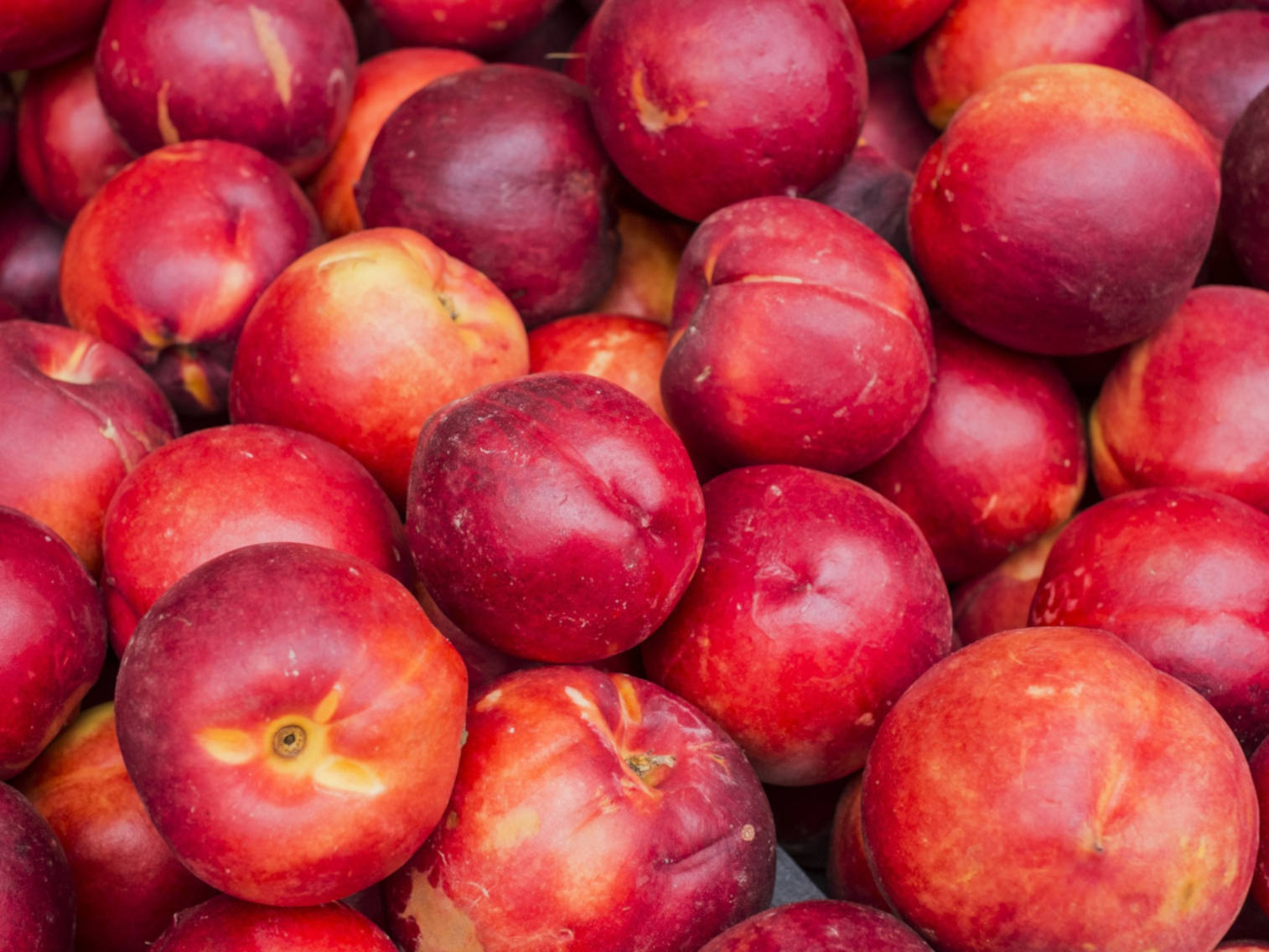 Nectarine 1lb