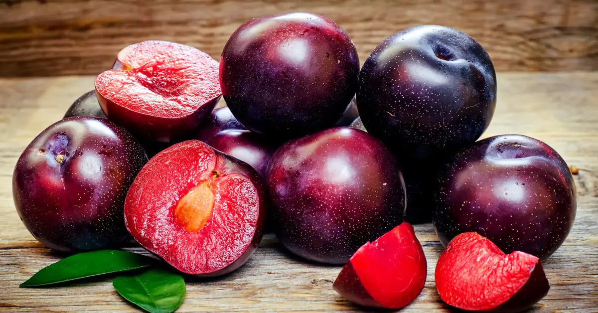 PRUNE /LB